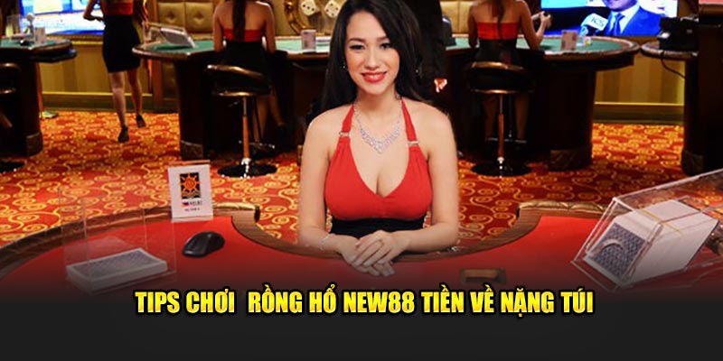 Tips chơi Rồng Hổ New88 tiền về nặng túi